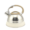 IT-CO1013 bouilloire à thé sifflante en acier inoxydable couleur argent de haute qualité
