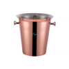 Seau à glace en acier inoxydable à double paroi portable personnalisé de 3 litres pour seau à boissons