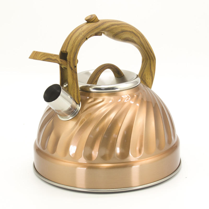 IT-CP1035 Économique Bouilloire camping Couleur Peinture sifflement bouilloire bouilloire