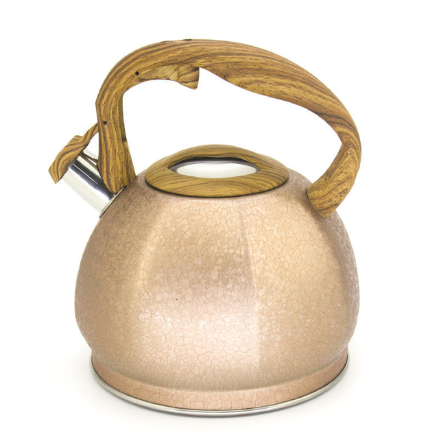 IT-CO1018 Golden High Quality Silver Color Painting bouilloire à thé sifflante en acier inoxydable