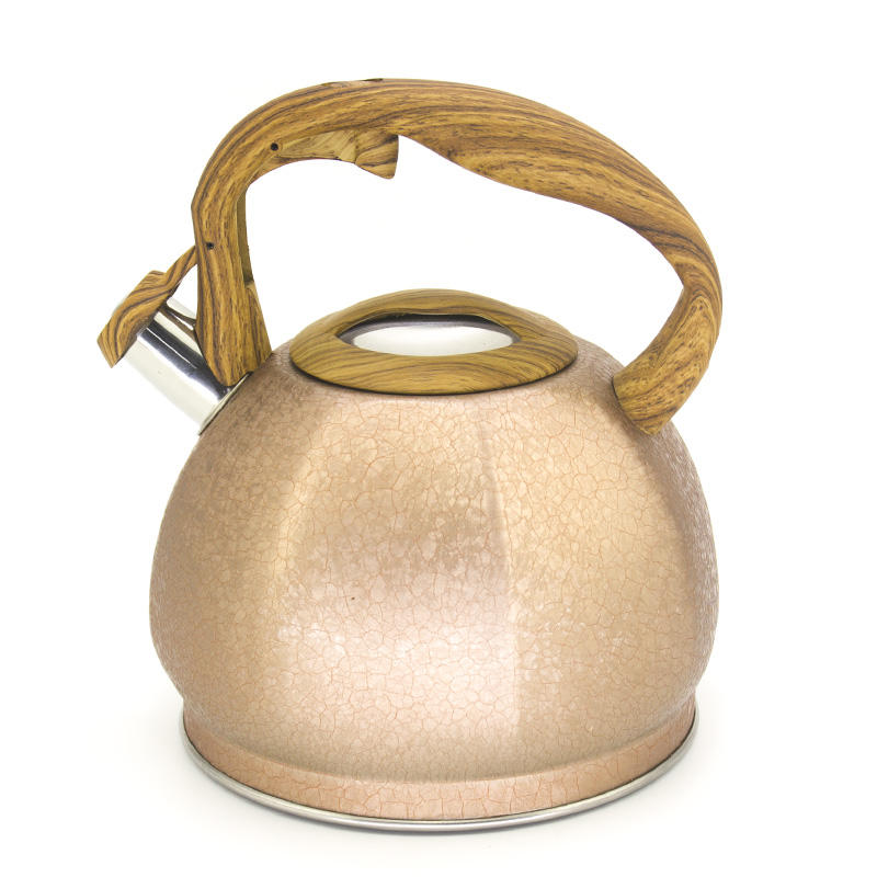 IT-CO1019 Silver High Quality Silver Color Painting bouilloire à thé sifflante en acier inoxydable