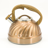 IT-CP1035 Économique Bouilloire camping Couleur Peinture sifflement bouilloire bouilloire