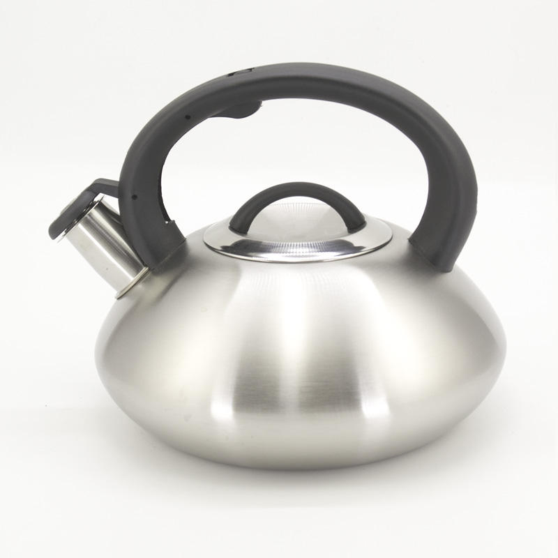 Bouilloire sifflante à thé en acier inoxydable de nouvelle conception