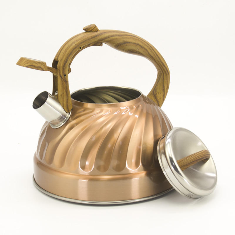 IT-CP1035 Économique Bouilloire camping Couleur Peinture sifflement bouilloire bouilloire