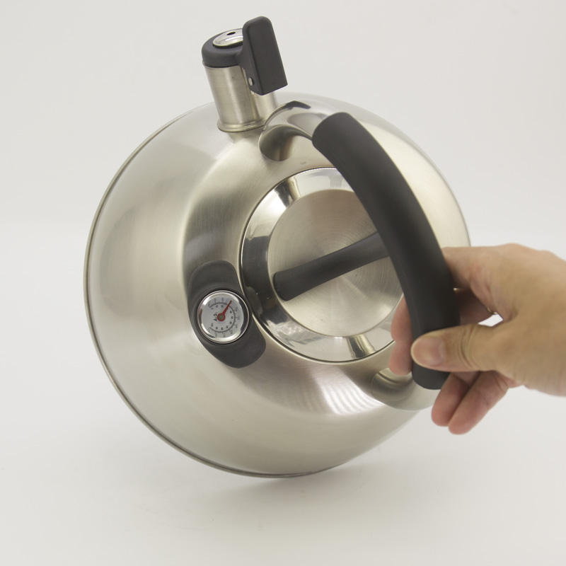 IT-CP1049 Bouilloire sifflante en acier inoxydable de style européen avec poignée