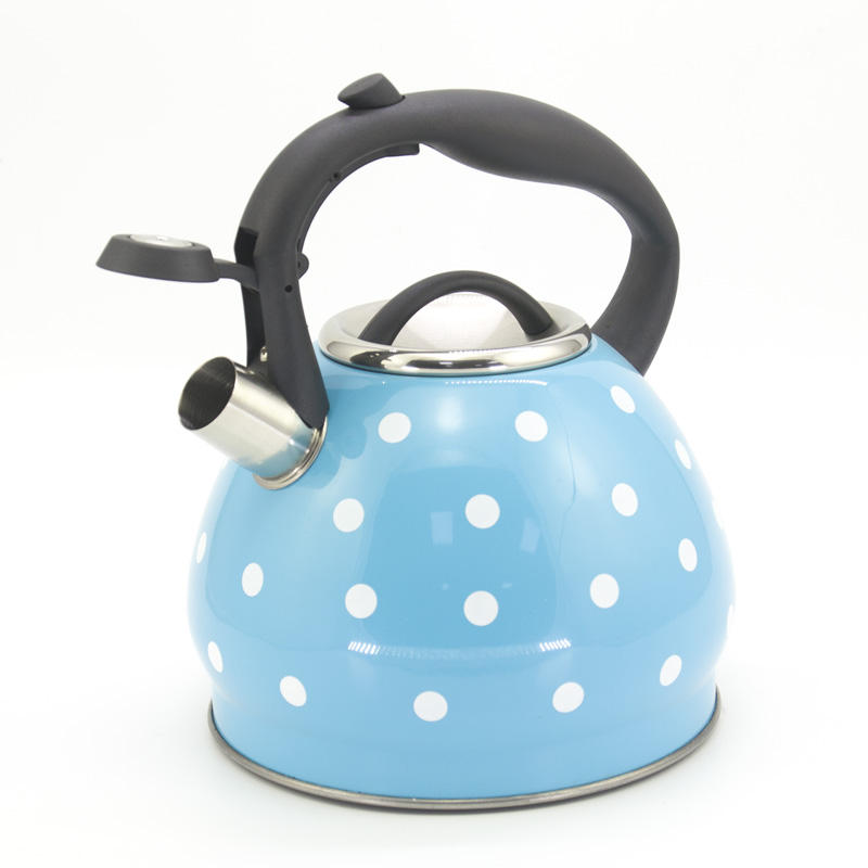 Bouilloire sifflante à thé en acier inoxydable de style européen IT-CP1048 pour la cuisine de l'hôtel