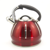 IT-CP1040 bouilloire à café OEM personnalisé couleur peinture bouilloire sifflante bouilloire à thé