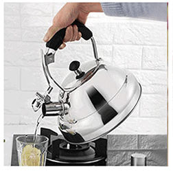 Bouilloire sifflante à thé en acier inoxydable de style européen IT-CP1053 pour théières